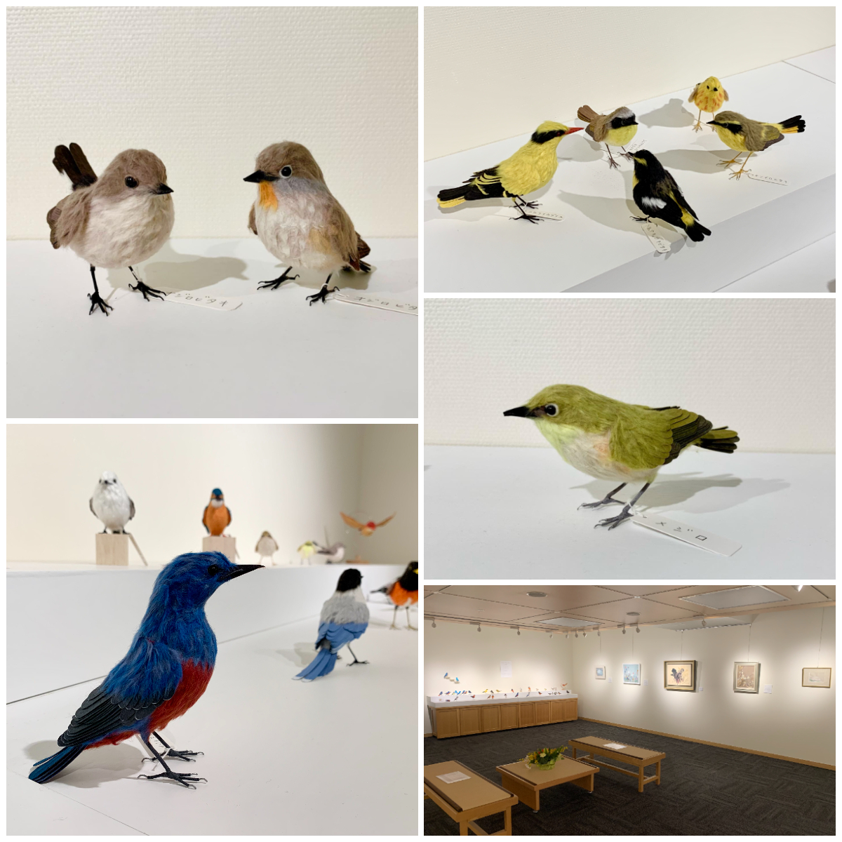 小津和紙所蔵作品展   同時開催「toritoiro鳥と色」